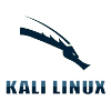 Kali Install Bootable 64GB USB Drive